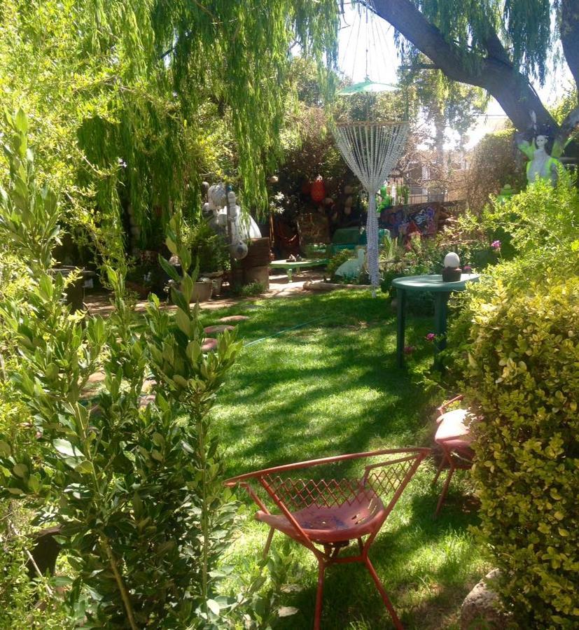 Calvinia Magic Garden旅馆 外观 照片