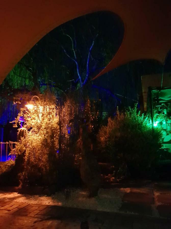 Calvinia Magic Garden旅馆 外观 照片